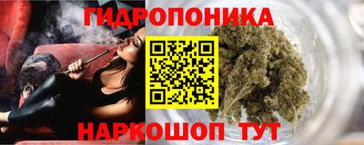 спиды Аргун
