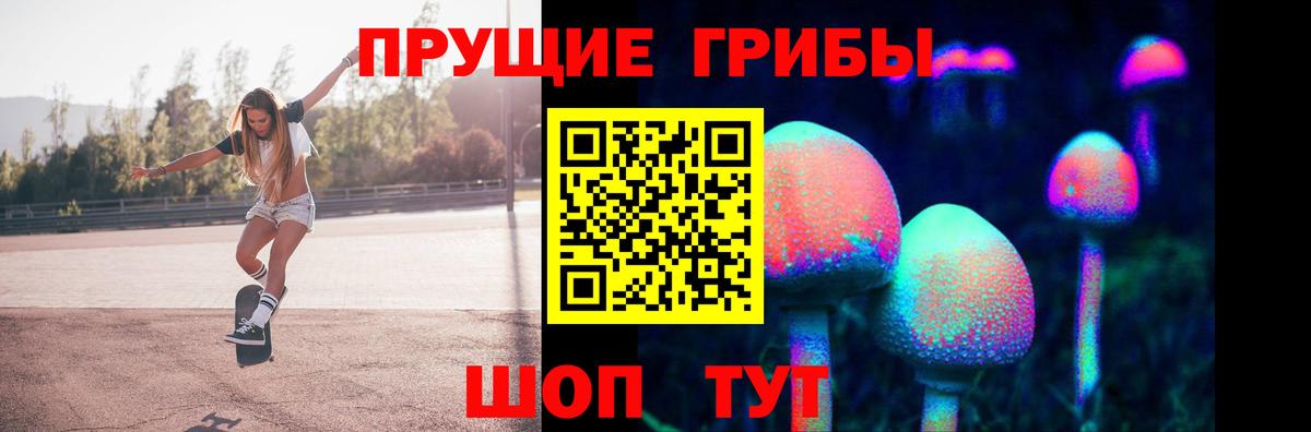 Вышний Волочёк  Псилоцибиновые грибы мухоморы  Псилоцибиновые грибы MAGIC MUSHROOMS  купить   Вход с VPN 